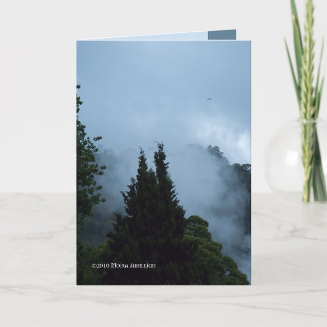 Cartão Rotarua Morning (Frente)