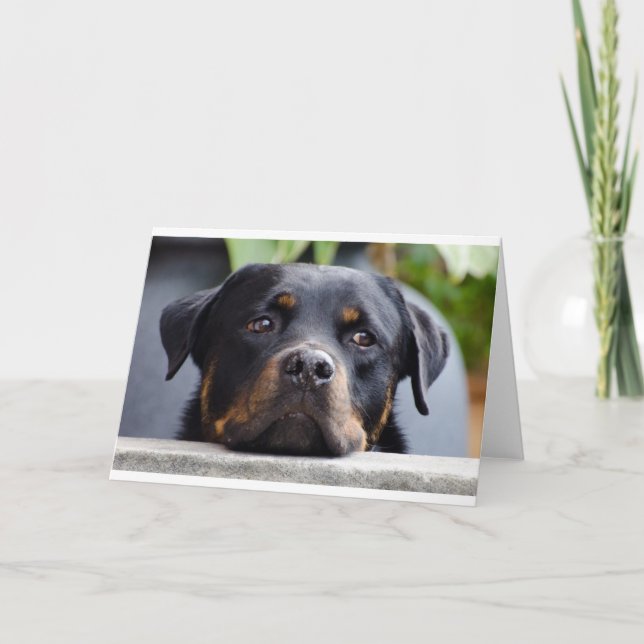 Cartão rottweiler 2.png (Frente)