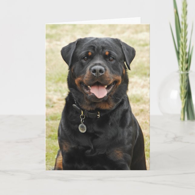 Cartão Rottweiler Birthday Card (Frente)