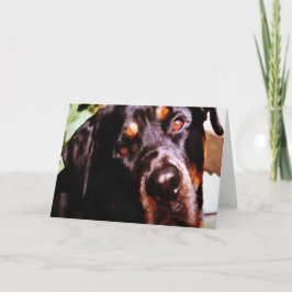 Cartão Rottweiler Portait Artístico Pet