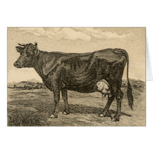 Cartão Rótulo do produto Vintage, soda bicarbonada de Dwi