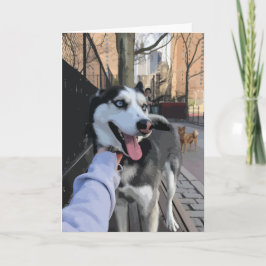 Cartão Rouco Bonito Num Parque De Cachorros Com Língua Em