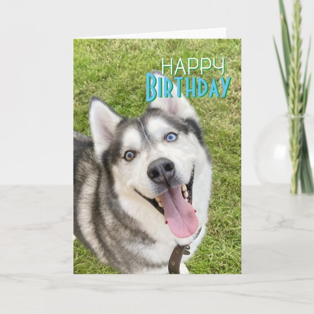 Cartão Rouco Happy Birthday Card dog (Frente)
