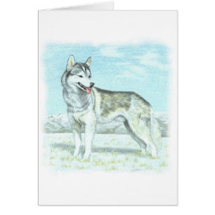 Cartão Rouco Siberian