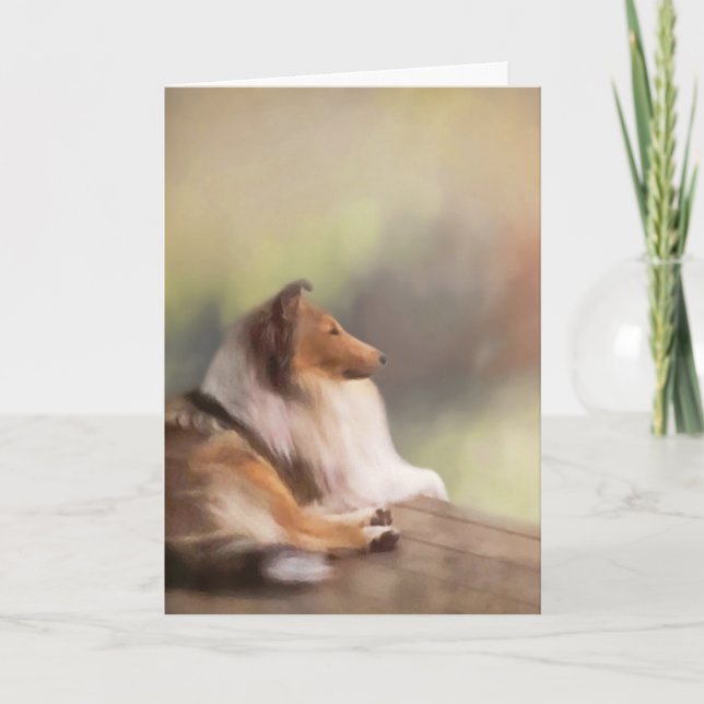 Cartão Rough Collie Greeting Card (Frente)