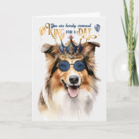 Rough Collie King para um dia de aniversário engra