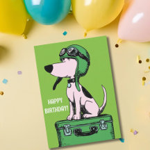 Roupa de Piloto de Cachorro de Aniversário Mala de
