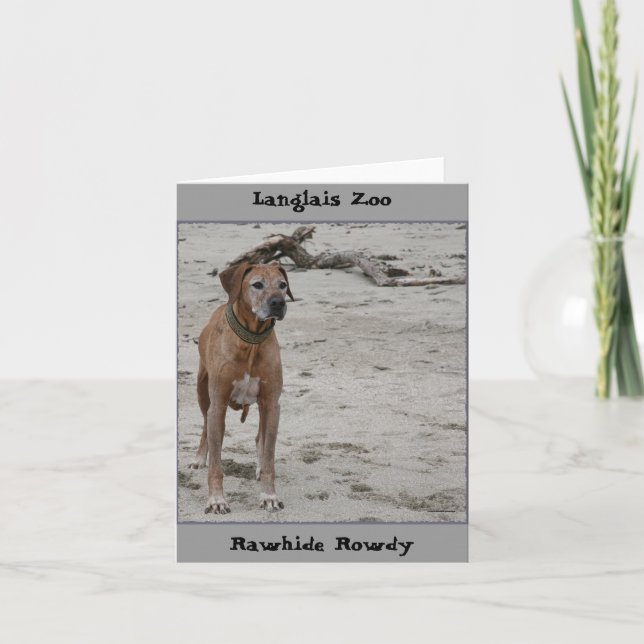 Cartão Rowdy, Rawhide Rowdy, Zoo Langlais (Frente)