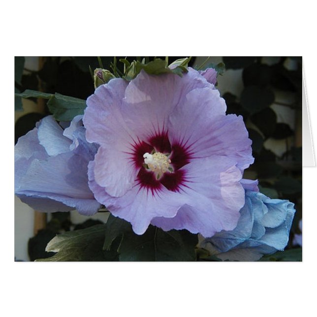 Cartão Roxo (Frente Horizontal)