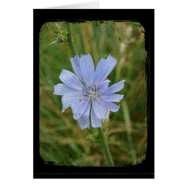 Cartão Roxo (Frente)