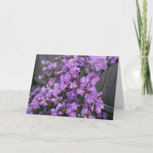 Cartão Roxo Azaleas Merchandise