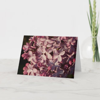 Cartão roxo bonito dos Lilacs