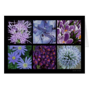 Cartão roxo da flor