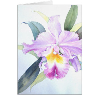 Cartão roxo da orquídea de Cattleya (5" X 7")