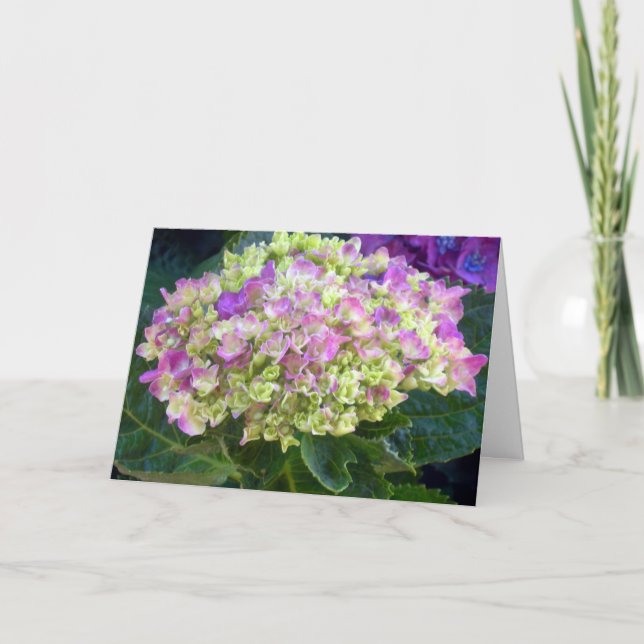 Cartão Roxo Hydrangea Doce Amigo (Frente)