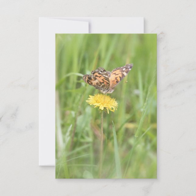 Cartão RSVP American Pintado Lady Butterfly Notecard (Frente)