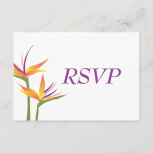 Cartão RSVP de Casamento do Pássaro do Paraíso