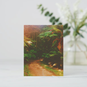 Cartão RSVP Floresta de Wakawakareva (Sequoias), Rotorua, NZ