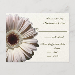 Cartão RSVP Gerbera Daisy Wedding/ Response