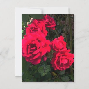Cartão RSVP Jardim de Rosas Vermelhas Românticas Rosário