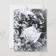 Livro de Visitas Rosa Monocromática para Casamento