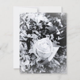 Cartão RSVP Livro de Visitas Rosa Monocromática para Casamento