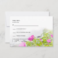 Maine Florals Acadia National Park Flower Blooms