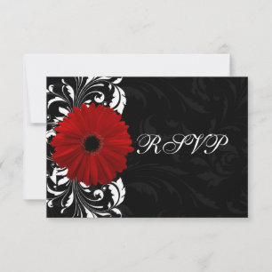 Cartão RSVP Margarida Gerbera do Pergaminho Vermelho, Preto e 