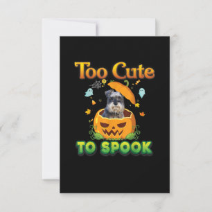Cartão RSVP Muito Bonito Para Falar De Pumpkin De Halloween De