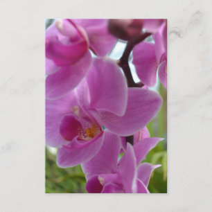 Cartão RSVP Orquídea rosa R.S.V.P.