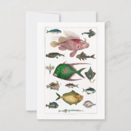 Cartão RSVP Peixes Coloridos Tropicais