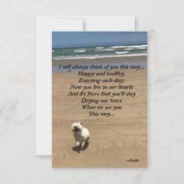 Cartão RSVP Pet Tribute - I will always think of you this way