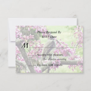Cartão RSVP Phoebe em uma Árvore Redbud