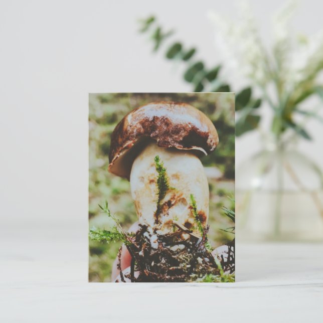 Cartão RSVP Porcini Mushroom em Floresta Sueca (Em pé/Frente)