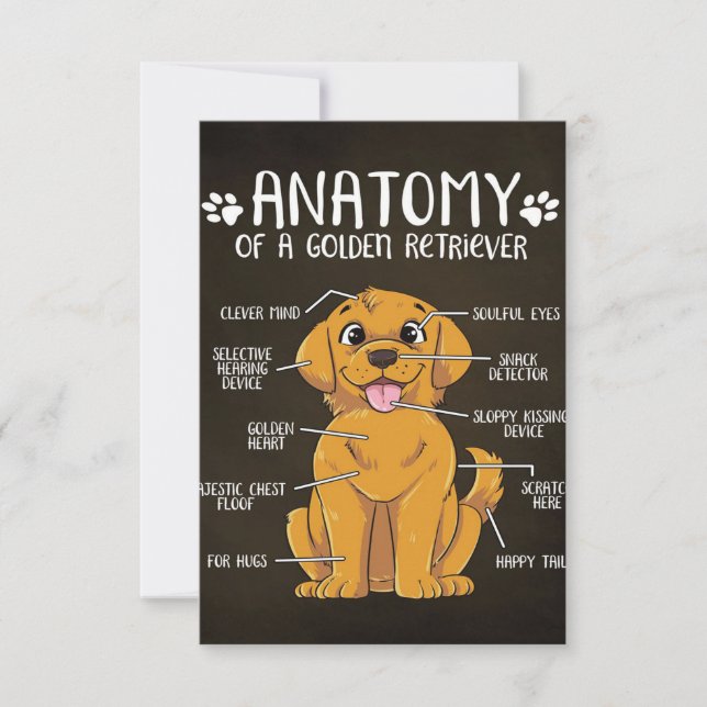 Cartão RSVP Retriever Ouro de Anatomia | Ouro Retriever Lover (Frente)