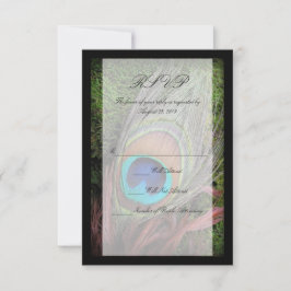 Cartão RSVP Rich Peacock Feather com Green Moss