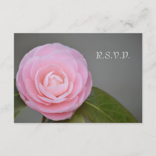 Cartão RSVP Rosa Rosa primavera