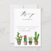 Suculentas e Cactus em Vasos Boho para Casamento d