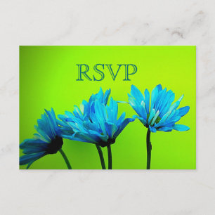 Cartão RSVP Teal Gerber Daisies sobre Casamento de Verde limão