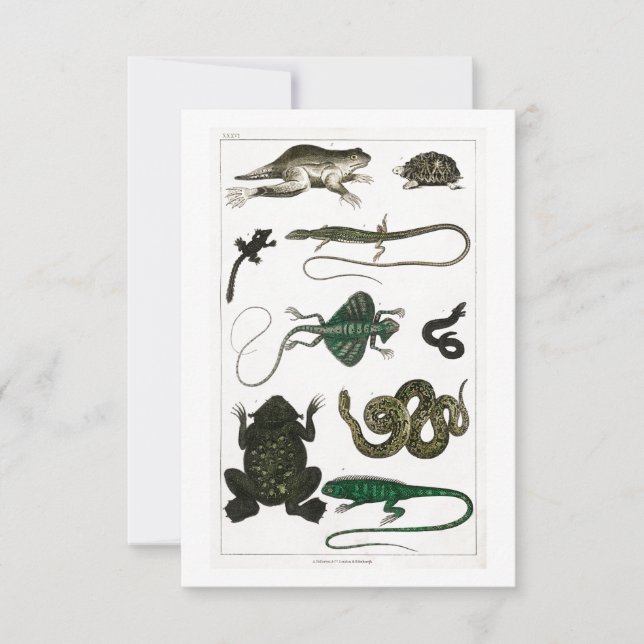 Cartão RSVP Vintage Reptiles Cobra Lizard (Frente)