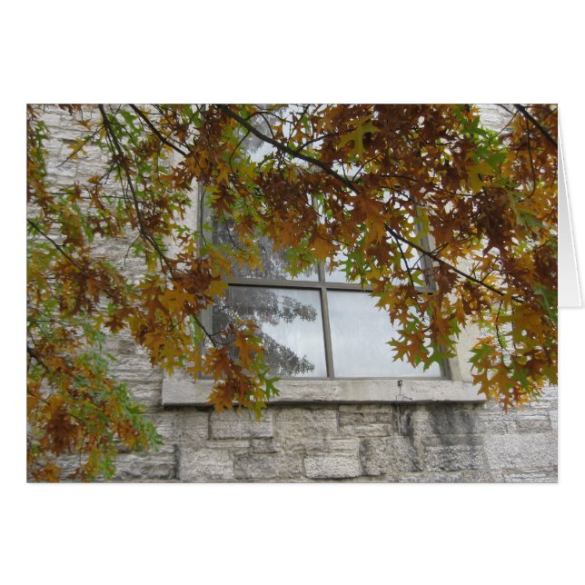 Cartão Rua. Carvalho do outono de Paul (Frente Horizontal)