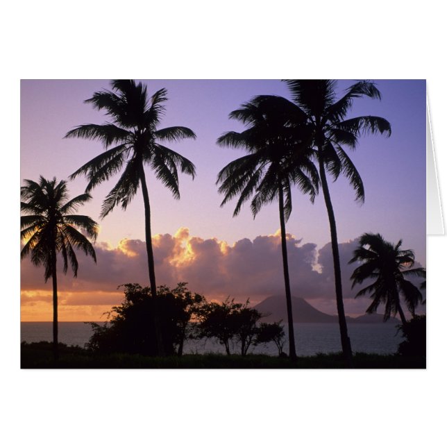 Cartão Rua costeira. Gatinhos (Frente Horizontal)