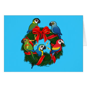 Cartão Rua de Natal Birdorable Macaws