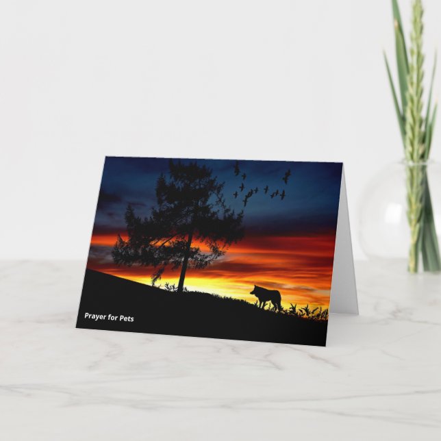 Cartão Rua. Francisco de Assisi Orador para Animais de Co (Frente)