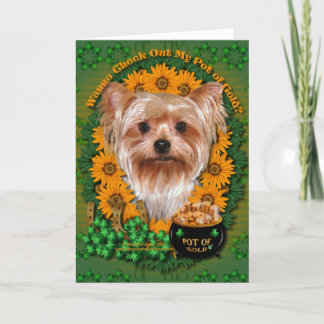Cartão Rua Patricks - pote de ouro - yorkshire terrier