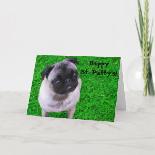 Cartão Rua, Pug da Patty