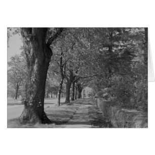 Cartão Rua Treelined com passeio