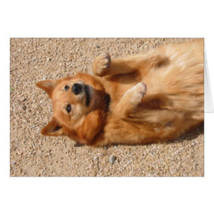 Cartão RUB da barriga 0006Copper