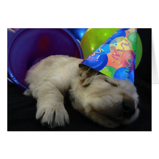 Cartão Rubi do balde (Frente Horizontal)