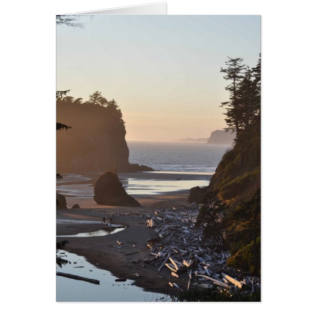 Cartão Ruby Beach na Península da Olimpiadas, WA (Frente)